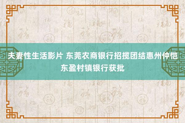 夫妻性生活影片 东莞农商银行招揽团结惠州仲恺东盈村镇银行获批