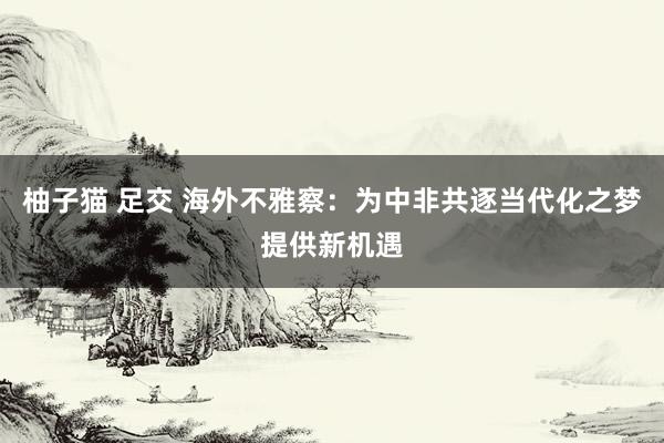 柚子猫 足交 海外不雅察：为中非共逐当代化之梦提供新机遇