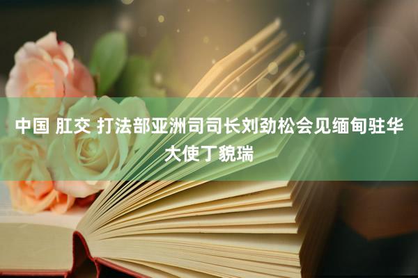 中国 肛交 打法部亚洲司司长刘劲松会见缅甸驻华大使丁貌瑞