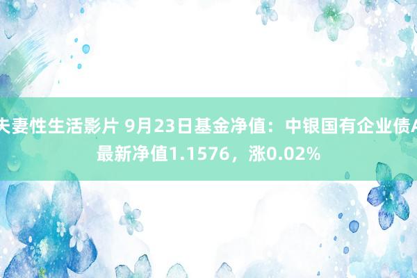 夫妻性生活影片 9月23日基金净值：中银国有企业债A最新净值1.1576，涨0.02%