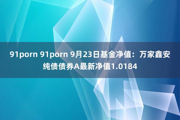 91porn 91porn 9月23日基金净值：万家鑫安纯债债券A最新净值1.0184