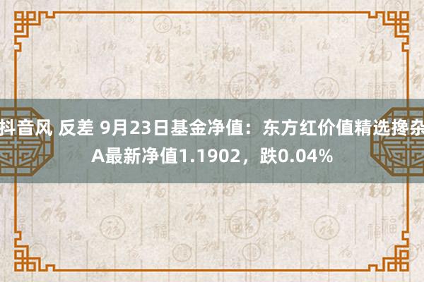 抖音风 反差 9月23日基金净值：东方红价值精选搀杂A最新净值1.1902，跌0.04%