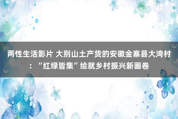 两性生活影片 大别山土产货的安徽金寨县大湾村：“红绿皆集”绘就乡村振兴新画卷