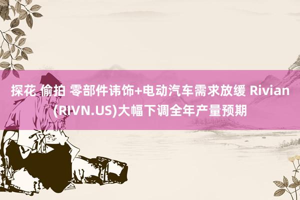 探花 偷拍 零部件讳饰+电动汽车需求放缓 Rivian(RIVN.US)大幅下调全年产量预期