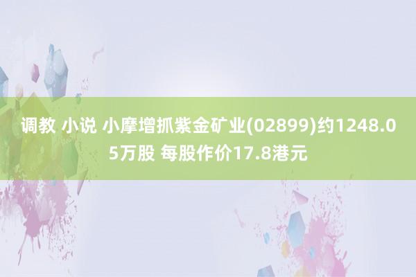 调教 小说 小摩增抓紫金矿业(02899)约1248.05万股 每股作价17.8港元