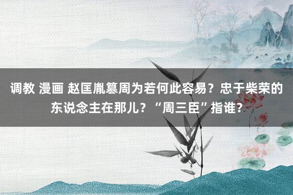 调教 漫画 赵匡胤篡周为若何此容易？忠于柴荣的东说念主在那儿？“周三臣”指谁？