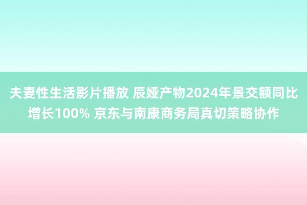 夫妻性生活影片播放 辰娅产物2024年景交额同比增长100% 京东与南康商务局真切策略协作