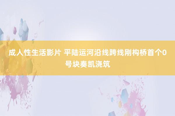 成人性生活影片 平陆运河沿线跨线刚构桥首个0号块奏凯浇筑