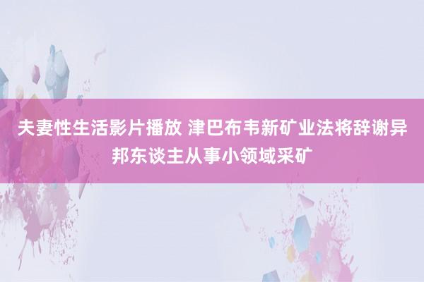 夫妻性生活影片播放 津巴布韦新矿业法将辞谢异邦东谈主从事小领域采矿