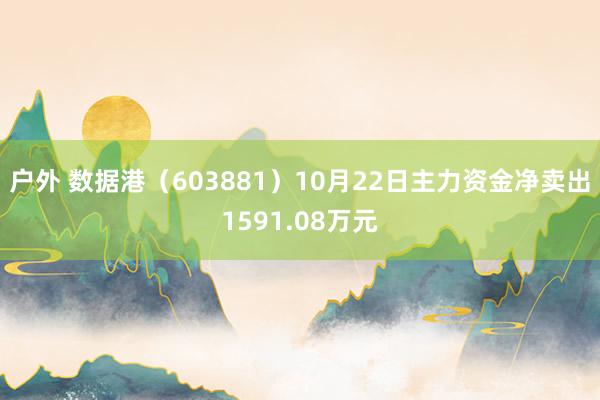 户外 数据港（603881）10月22日主力资金净卖出1591.08万元