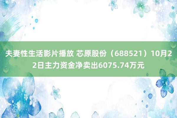 夫妻性生活影片播放 芯原股份（688521）10月22日主力资金净卖出6075.74万元