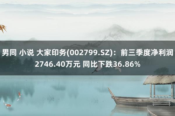 男同 小说 大家印务(002799.SZ)：前三季度净利润2746.40万元 同比下跌36.86%