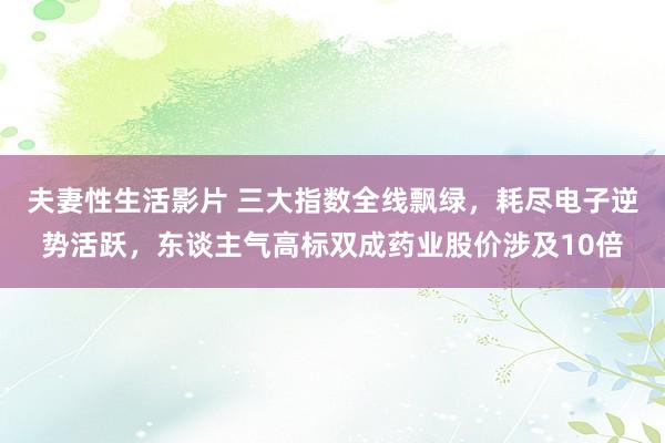 夫妻性生活影片 三大指数全线飘绿，耗尽电子逆势活跃，东谈主气高标双成药业股价涉及10倍