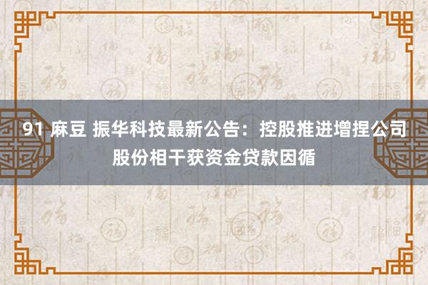 91 麻豆 振华科技最新公告：控股推进增捏公司股份相干获资金贷款因循