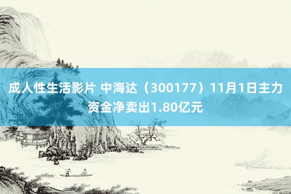 成人性生活影片 中海达（300177）11月1日主力资金净卖出1.80亿元