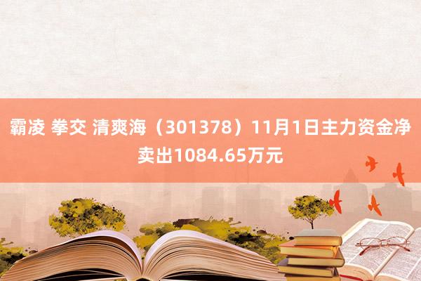 霸凌 拳交 清爽海（301378）11月1日主力资金净卖出1084.65万元