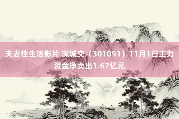 夫妻性生活影片 深城交（301091）11月1日主力资金净卖出1.67亿元