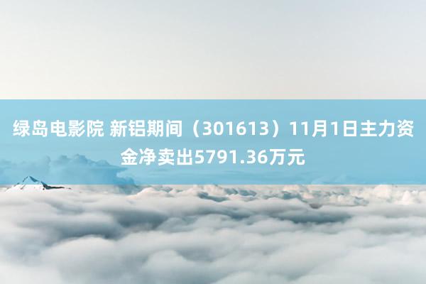 绿岛电影院 新铝期间（301613）11月1日主力资金净卖出5791.36万元