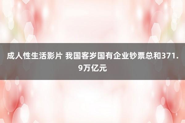 成人性生活影片 我国客岁国有企业钞票总和371.9万亿元