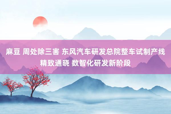 麻豆 周处除三害 东风汽车研发总院整车试制产线精致通晓 数智化研发新阶段