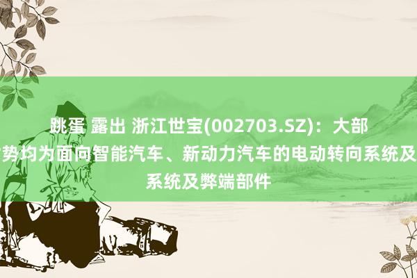 跳蛋 露出 浙江世宝(002703.SZ)：大部分在产时势均为面向智能汽车、新动力汽车的电动转向系统及弊端部件