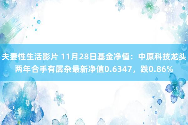 夫妻性生活影片 11月28日基金净值：中原科技龙头两年合手有羼杂最新净值0.6347，跌0.86%