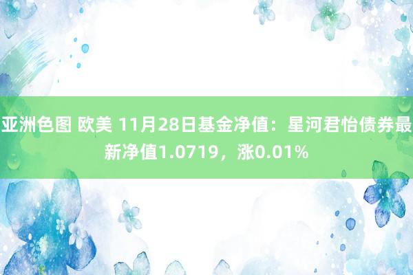 亚洲色图 欧美 11月28日基金净值：星河君怡债券最新净值1.0719，涨0.01%