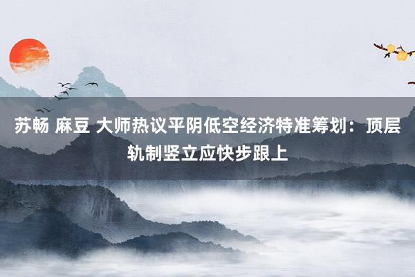 苏畅 麻豆 大师热议平阴低空经济特准筹划：顶层轨制竖立应快步跟上