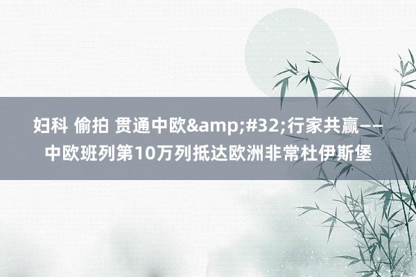 妇科 偷拍 贯通中欧&#32;行家共赢——中欧班列第10万列抵达欧洲非常杜伊斯堡