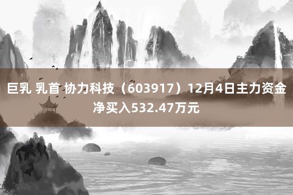 巨乳 乳首 协力科技（603917）12月4日主力资金净买入532.47万元