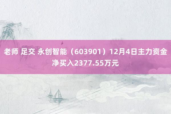 老师 足交 永创智能（603901）12月4日主力资金净买入2377.55万元