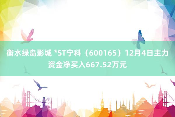 衡水绿岛影城 *ST宁科（600165）12月4日主力资金净买入667.52万元