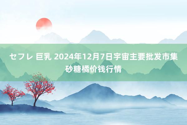 セフレ 巨乳 2024年12月7日宇宙主要批发市集砂糖橘价钱行情