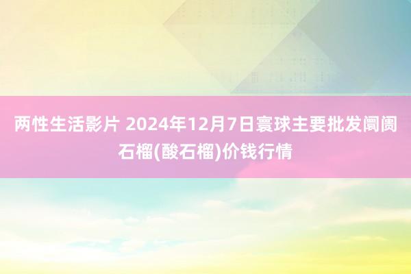 两性生活影片 2024年12月7日寰球主要批发阛阓石榴(酸石榴)价钱行情