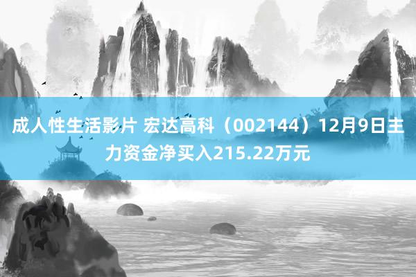 成人性生活影片 宏达高科（002144）12月9日主力资金净买入215.22万元