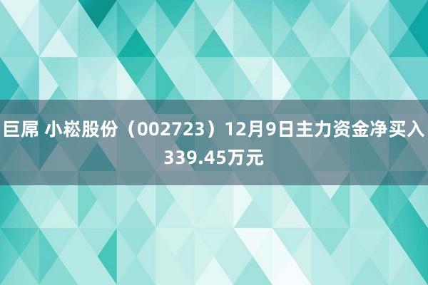 巨屌 小崧股份（002723）12月9日主力资金净买入339.45万元