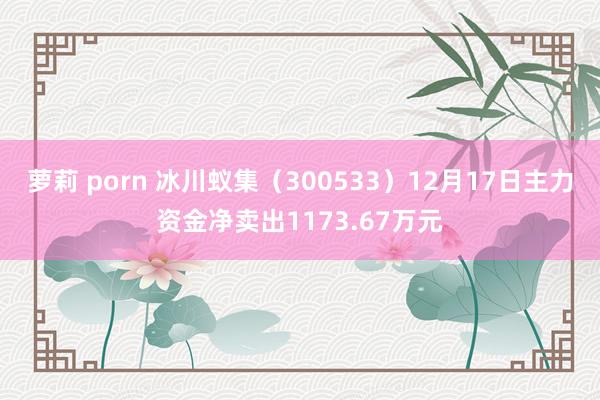 萝莉 porn 冰川蚁集（300533）12月17日主力资金净卖出1173.67万元