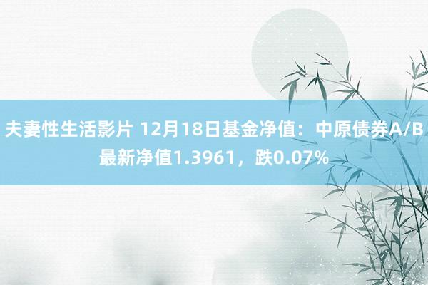 夫妻性生活影片 12月18日基金净值：中原债券A/B最新净值1.3961，跌0.07%