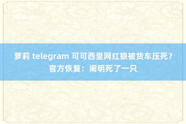 萝莉 telegram 可可西里网红狼被货车压死？官方恢复：阐明死了一只