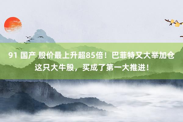 91 国产 股价最上升超85倍！巴菲特又大举加仓这只大牛股，买成了第一大推进！