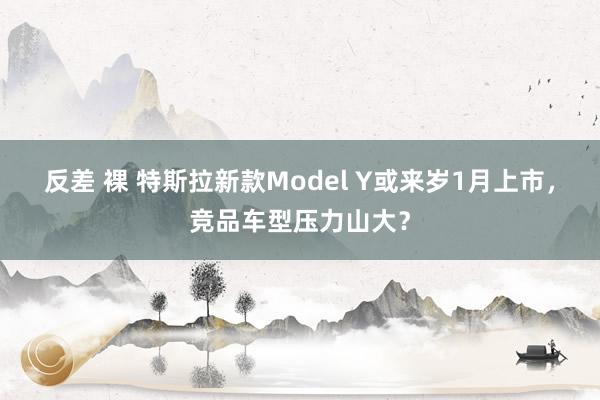 反差 裸 特斯拉新款Model Y或来岁1月上市，竞品车型压力山大？