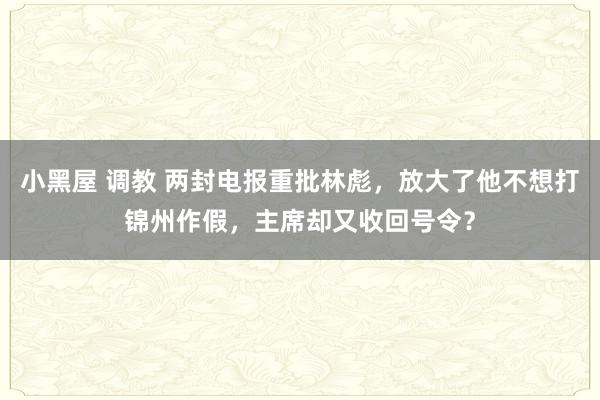 小黑屋 调教 两封电报重批林彪，放大了他不想打锦州作假，主席却又收回号令？