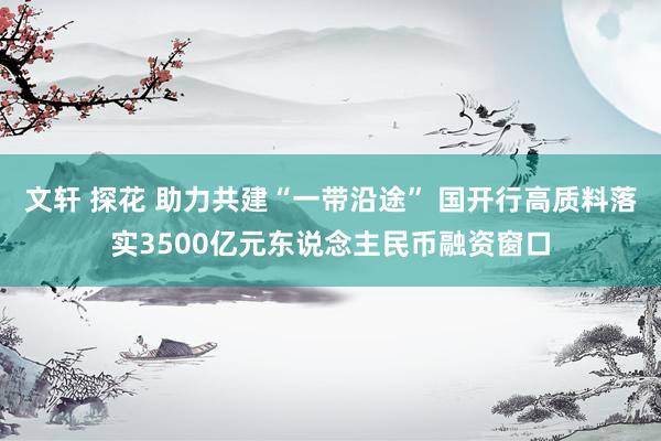 文轩 探花 助力共建“一带沿途” 国开行高质料落实3500亿元东说念主民币融资窗口