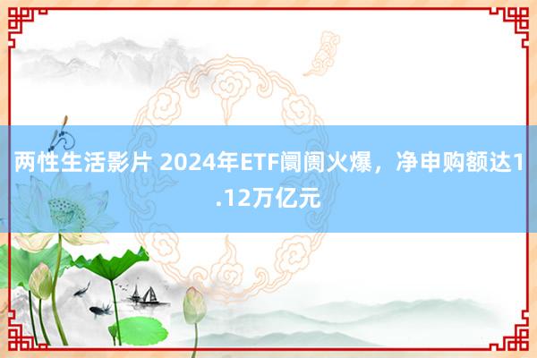 两性生活影片 2024年ETF阛阓火爆，净申购额达1.12万亿元