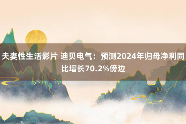 夫妻性生活影片 迪贝电气：预测2024年归母净利同比增长70.2%傍边