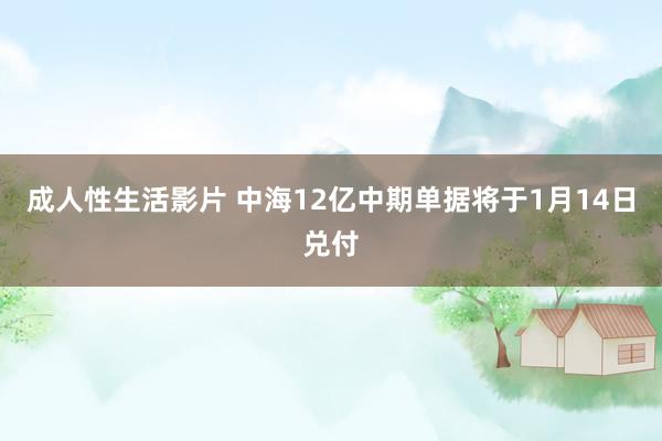 成人性生活影片 中海12亿中期单据将于1月14日兑付