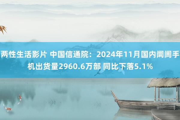 两性生活影片 中国信通院：2024年11月国内阛阓手机出货量2960.6万部 同比下落5.1%