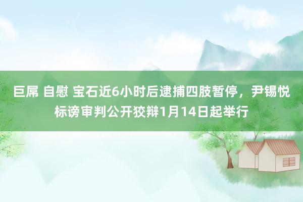 巨屌 自慰 宝石近6小时后逮捕四肢暂停，尹锡悦标谤审判公开狡辩1月14日起举行