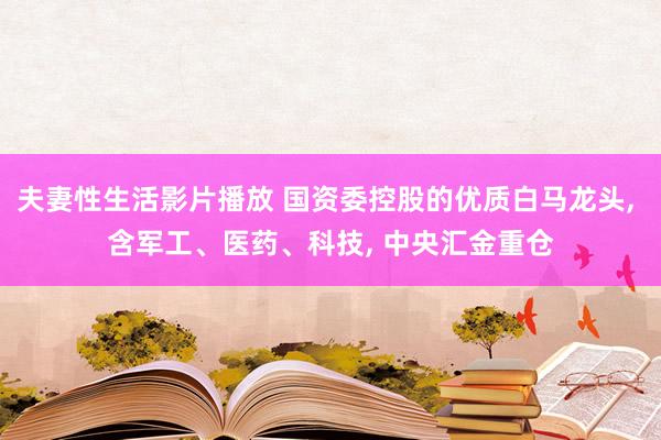 夫妻性生活影片播放 国资委控股的优质白马龙头， 含军工、医药、科技， 中央汇金重仓