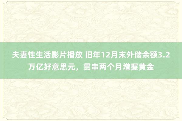 夫妻性生活影片播放 旧年12月末外储余额3.2万亿好意思元，贯串两个月增握黄金